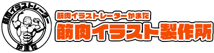 筋肉イラストのことなら【筋肉イラスト製作所】