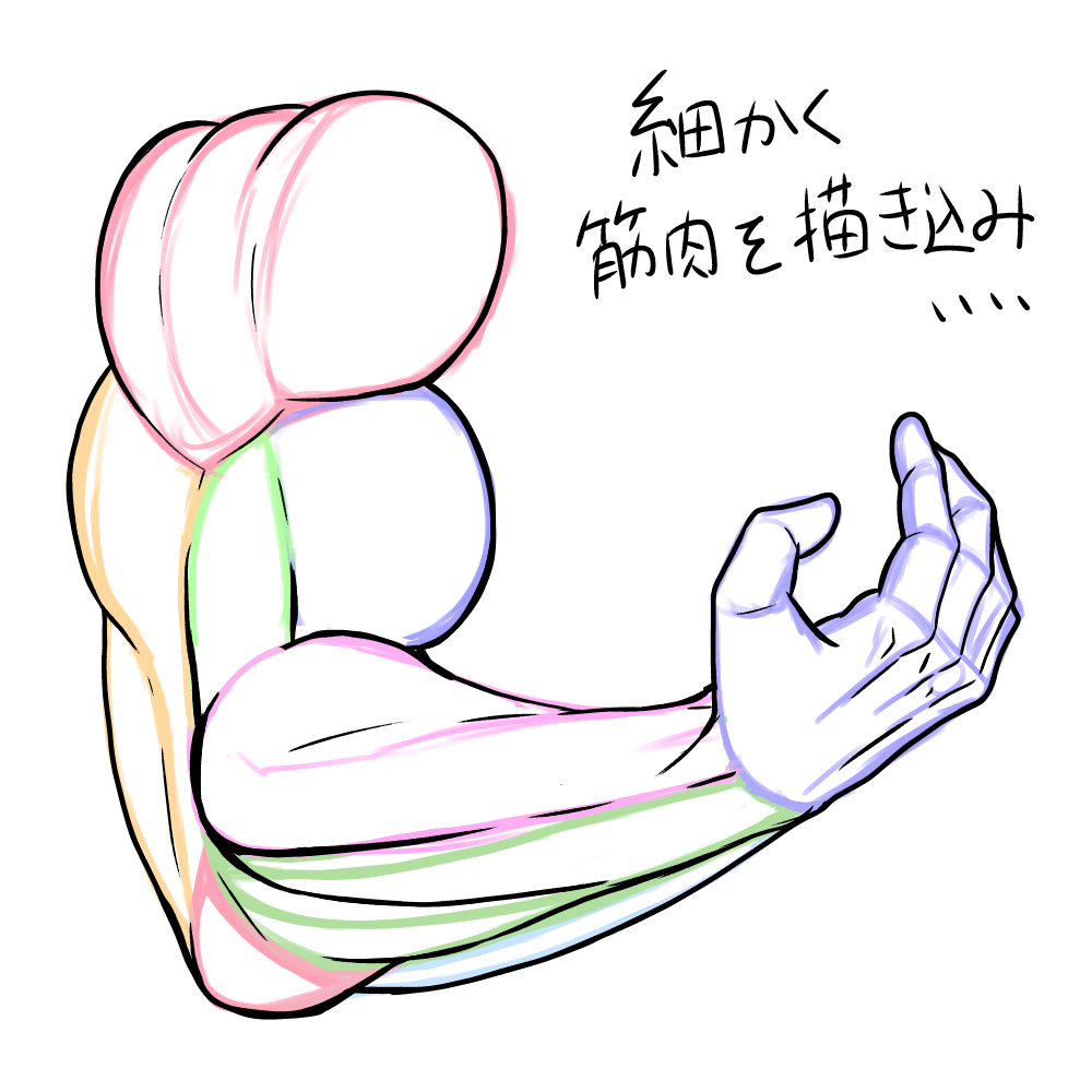 筋肉イラスト　筋肉　描き方