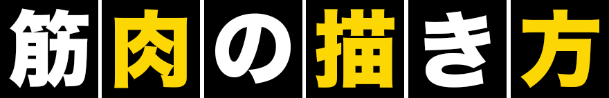 筋肉の描き方